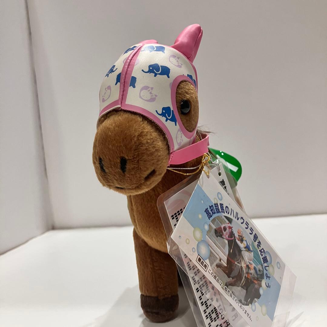 ピ*ー様 ハルウララ　ゼッケン1高知競馬　ぬいぐるみ　応援タグ&単勝タグ付き　非