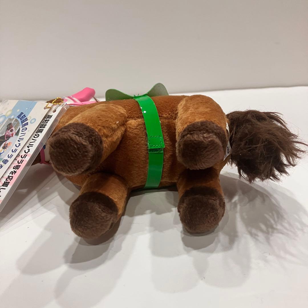 ピ*ー様 ハルウララ　ゼッケン1高知競馬　ぬいぐるみ　応援タグ&単勝タグ付き　非