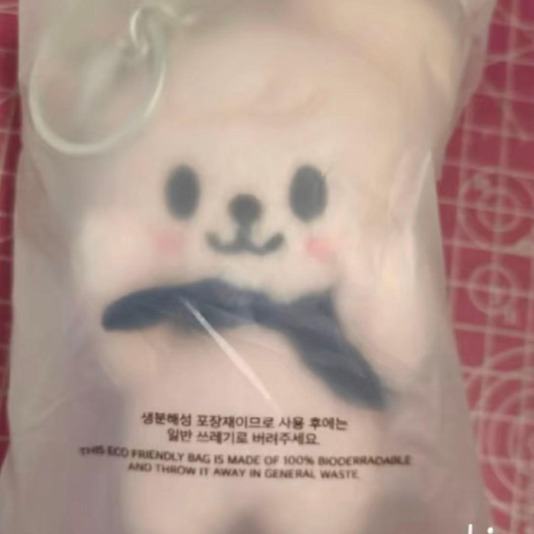 Stray Kids SKZOO マグネットキーリング　スンミン puppyM