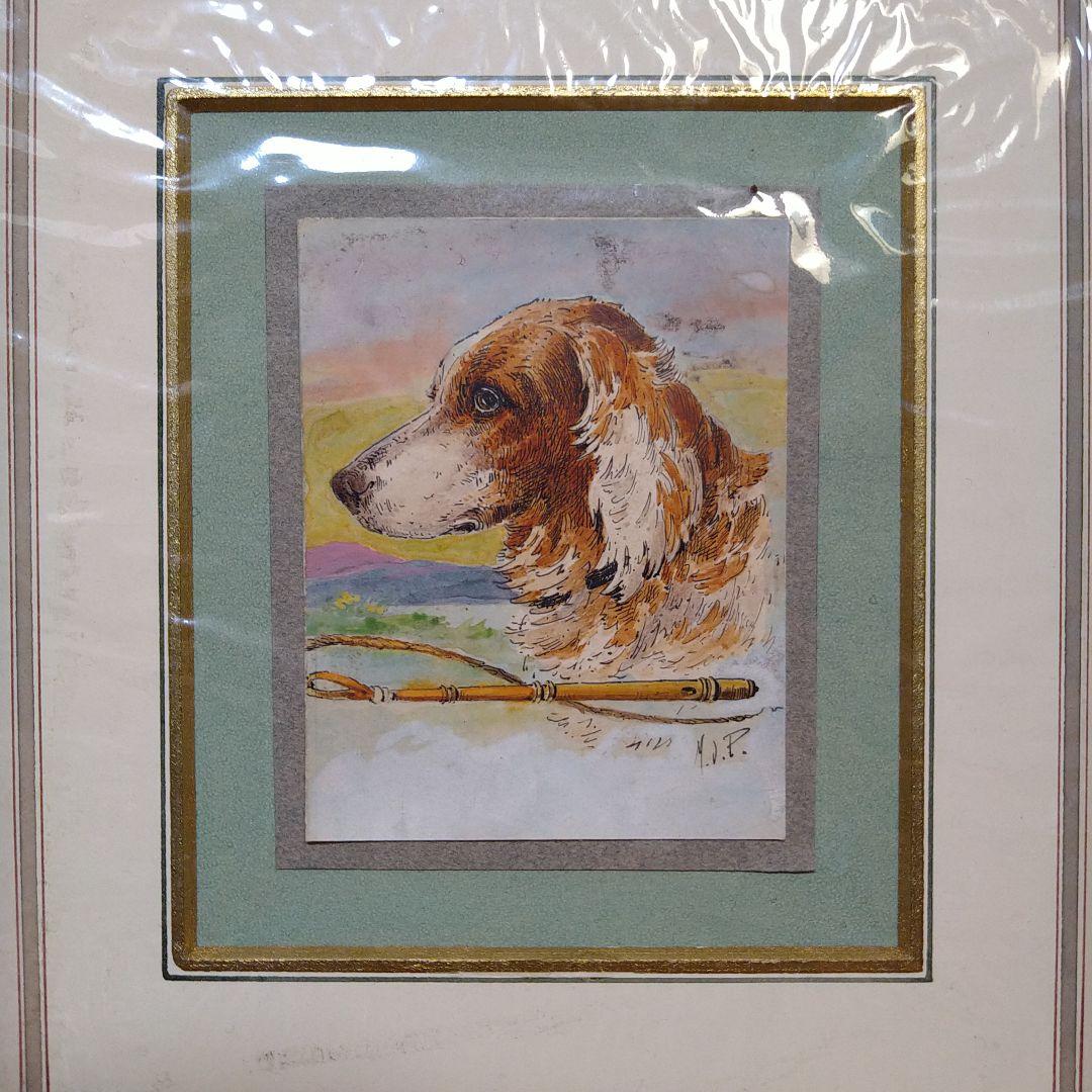 アンティーク絵画 1900年 イギリス 犬 カラー
