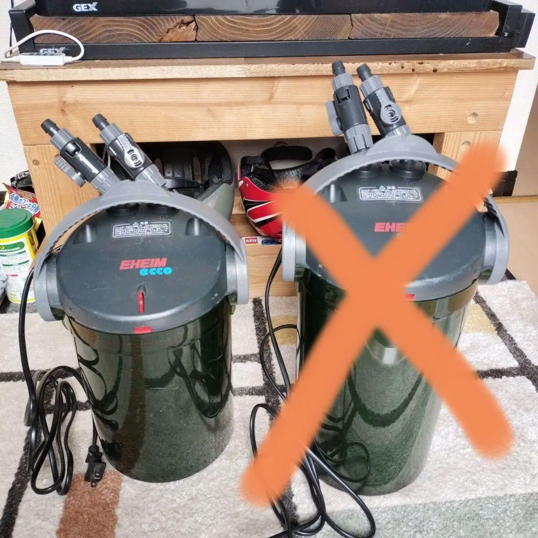 EHEIM ecco フィルター 本体