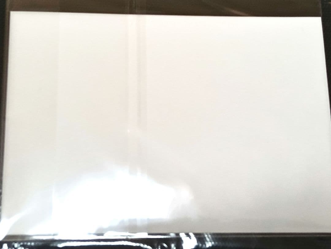 鬼滅の刃 炭治郎 禰豆子 幼少 ブロマイド ネットプリント