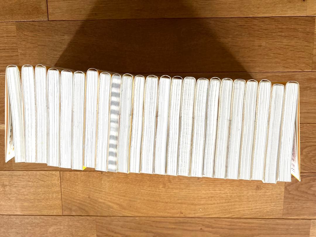 戦国姫シリーズ　23冊セット