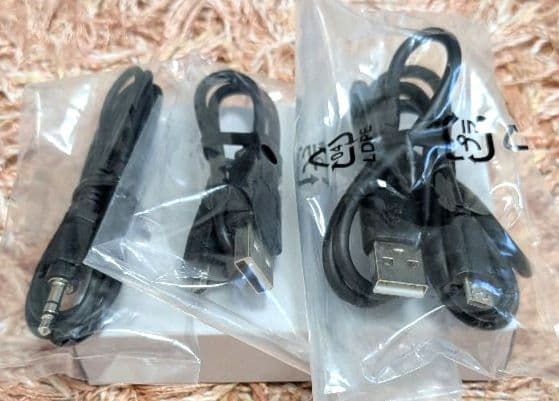 SHARP AN-SC1 ウェアラブルAIスピーカー 〜首掛けタイプ〜