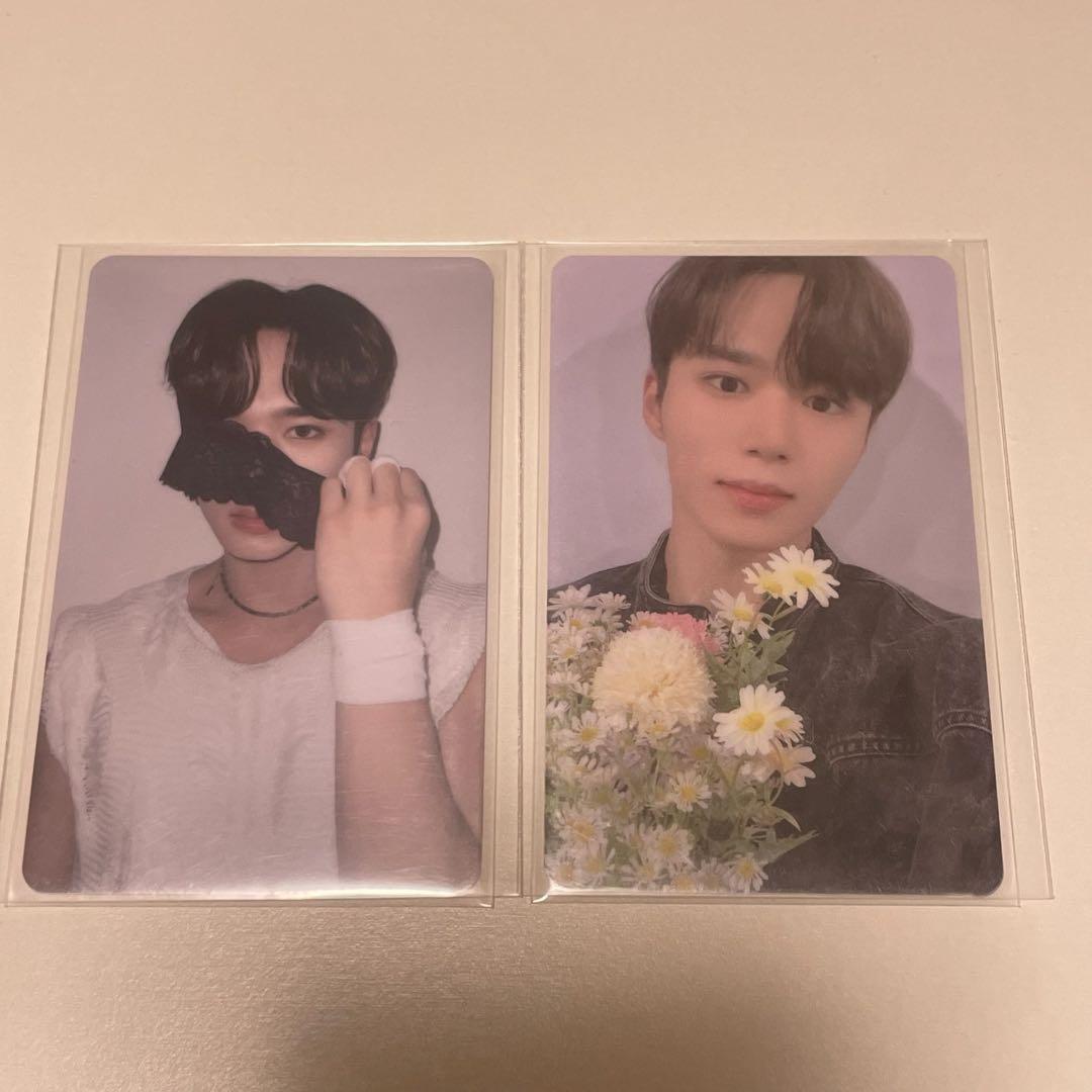 WEi ALD1 ジュンソトレカ ラキドロ