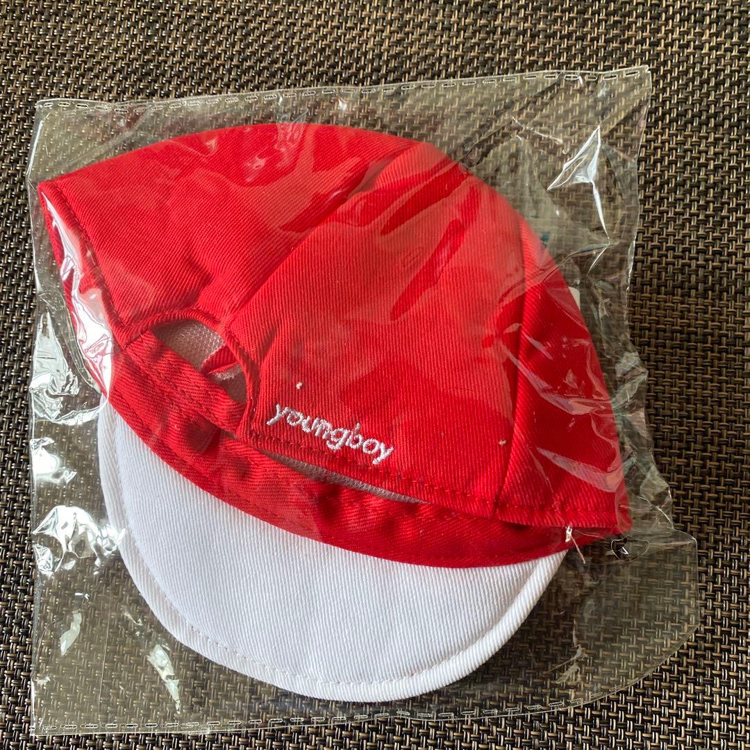 値下げ❗️2pm ウヨンドール20cm おまけあり‼️