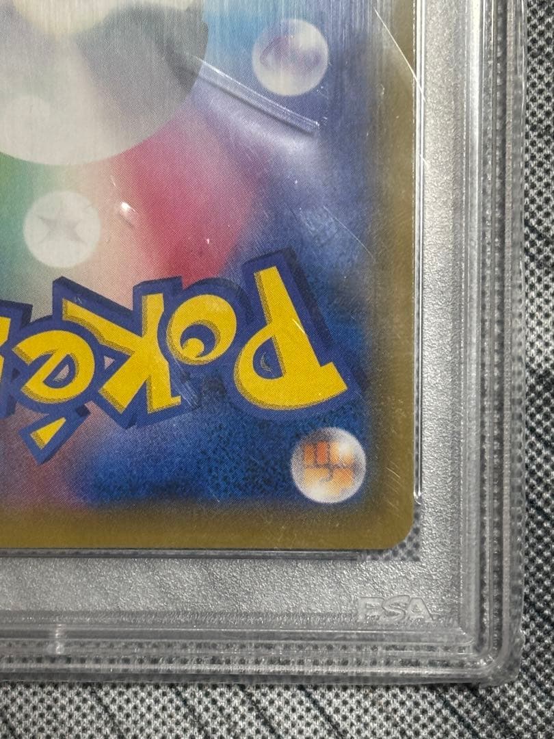 エリカのおもてなし PSA10