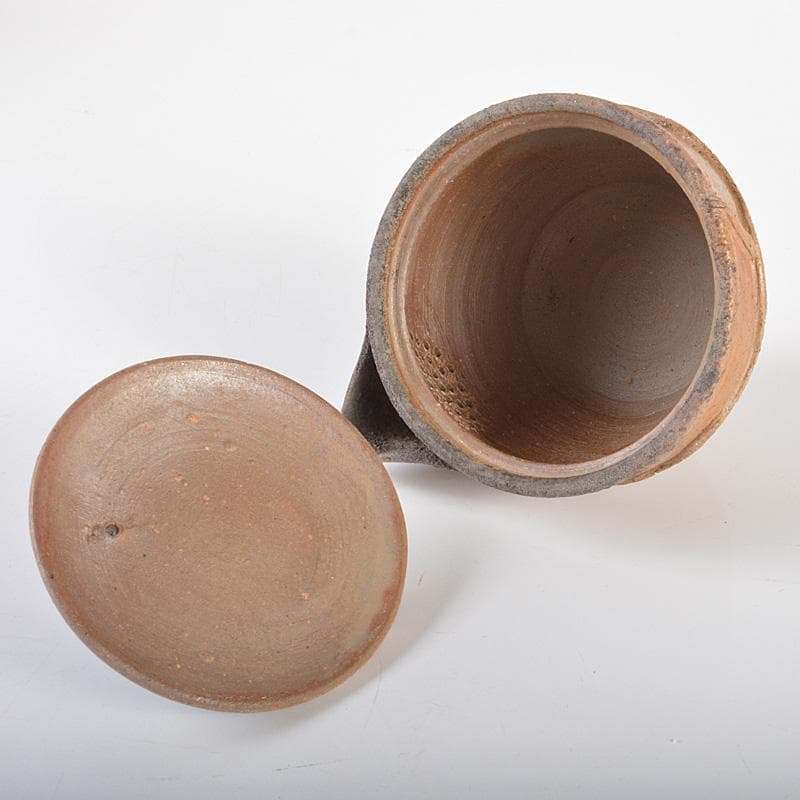 煎茶道具　備前焼　明光窯　蓮根摘蓮葉　宝瓶　急須　共箱　D　R6438