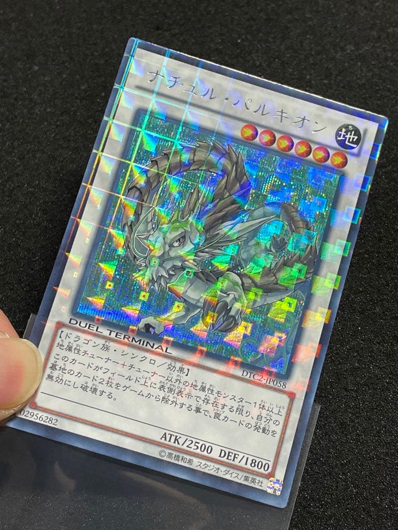 【ARS鑑定 10】ナチュルパルキオン　DTC シークレットレア　貴重！