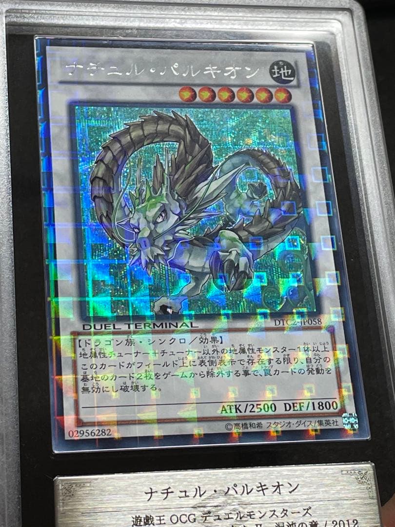 【ARS鑑定 10】ナチュルパルキオン　DTC シークレットレア　貴重！