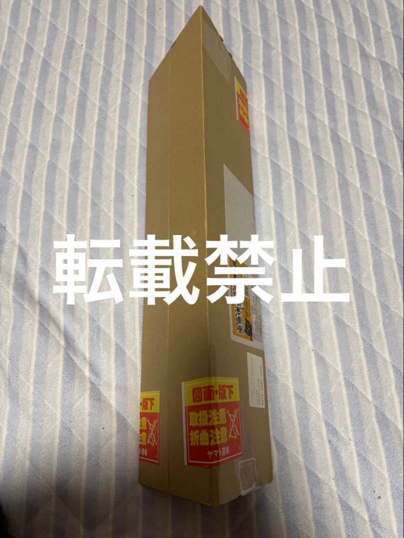 乃木坂46 遠藤さくら　直筆サイン入りポスター　time files