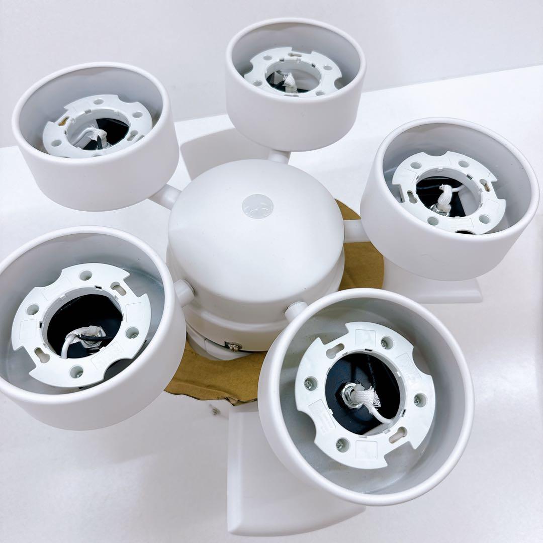 DAIKO ダイコー 大光電気 シーリングファンライト CSF-580W