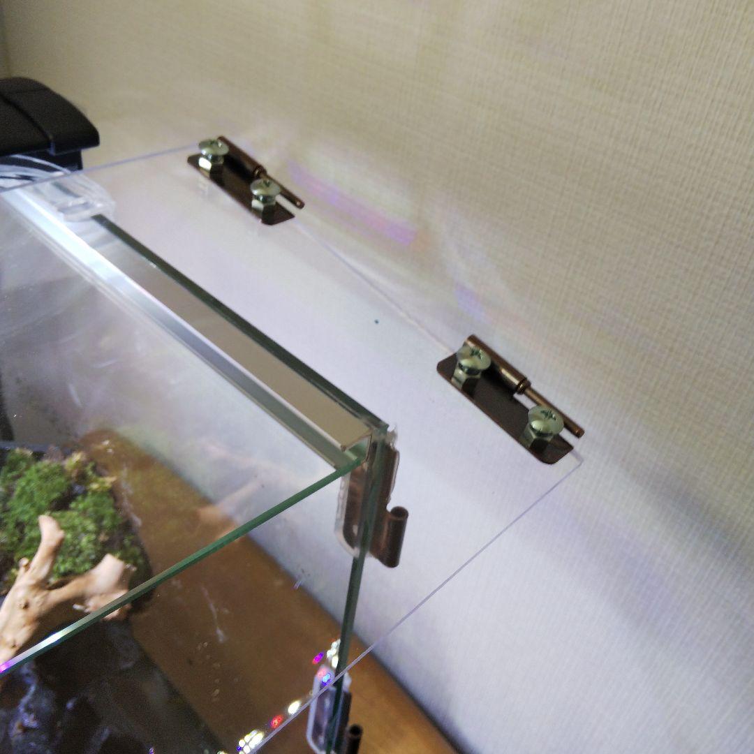 アクアテラリウム完成品 イモリウム 苔テラリウム 滝のあるアクアテラリウム