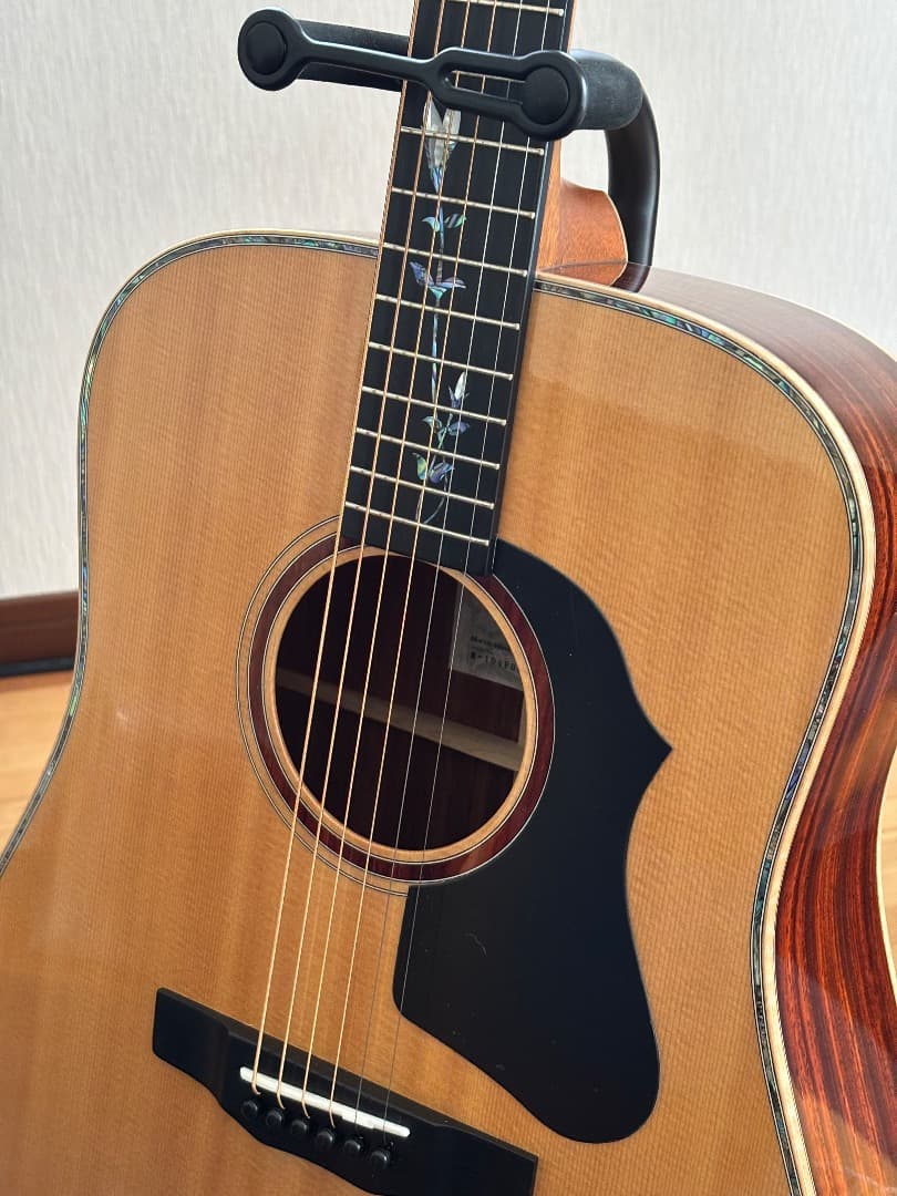 ギター M-104PDK MORRIS GUITARS