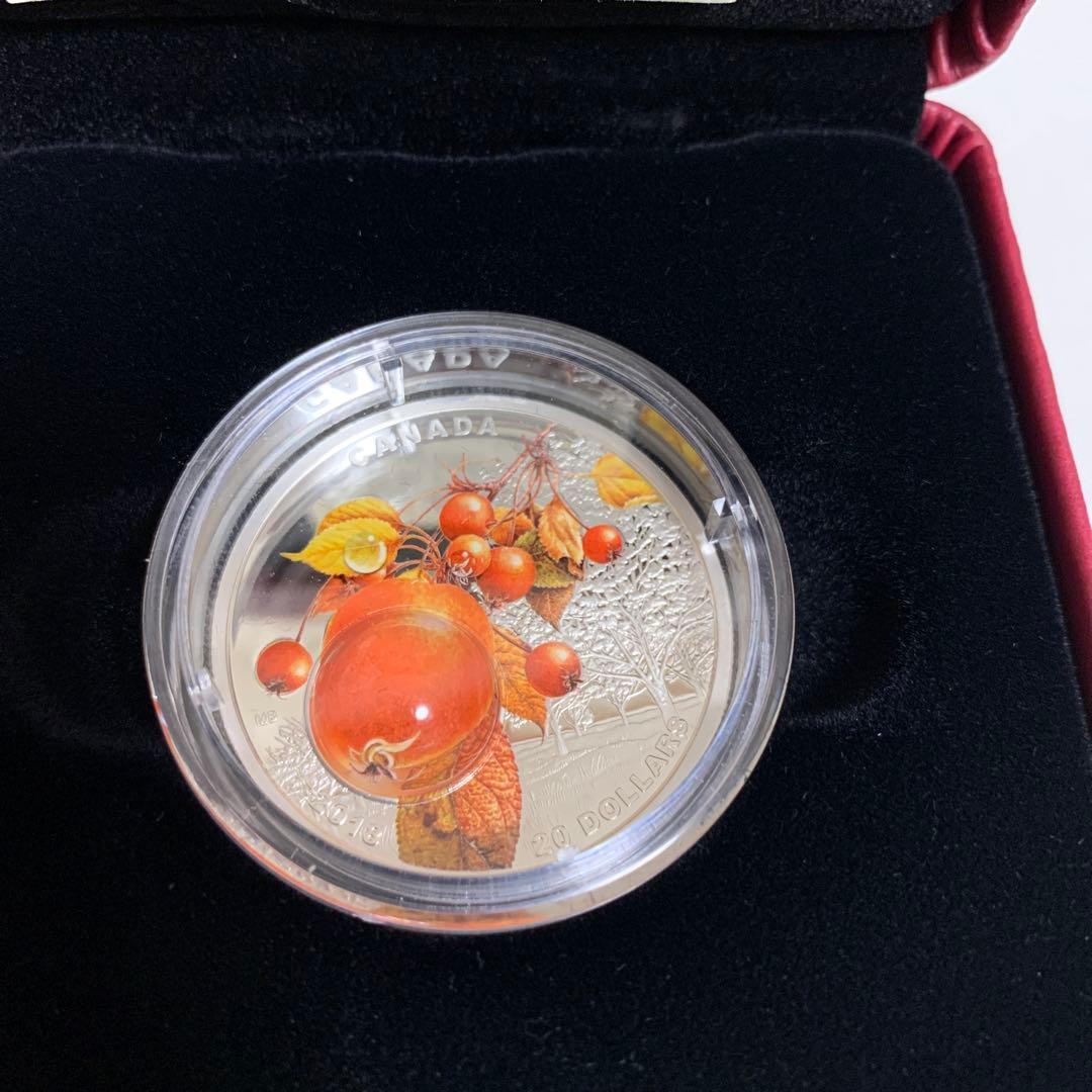 カナダ銀貨　朝露