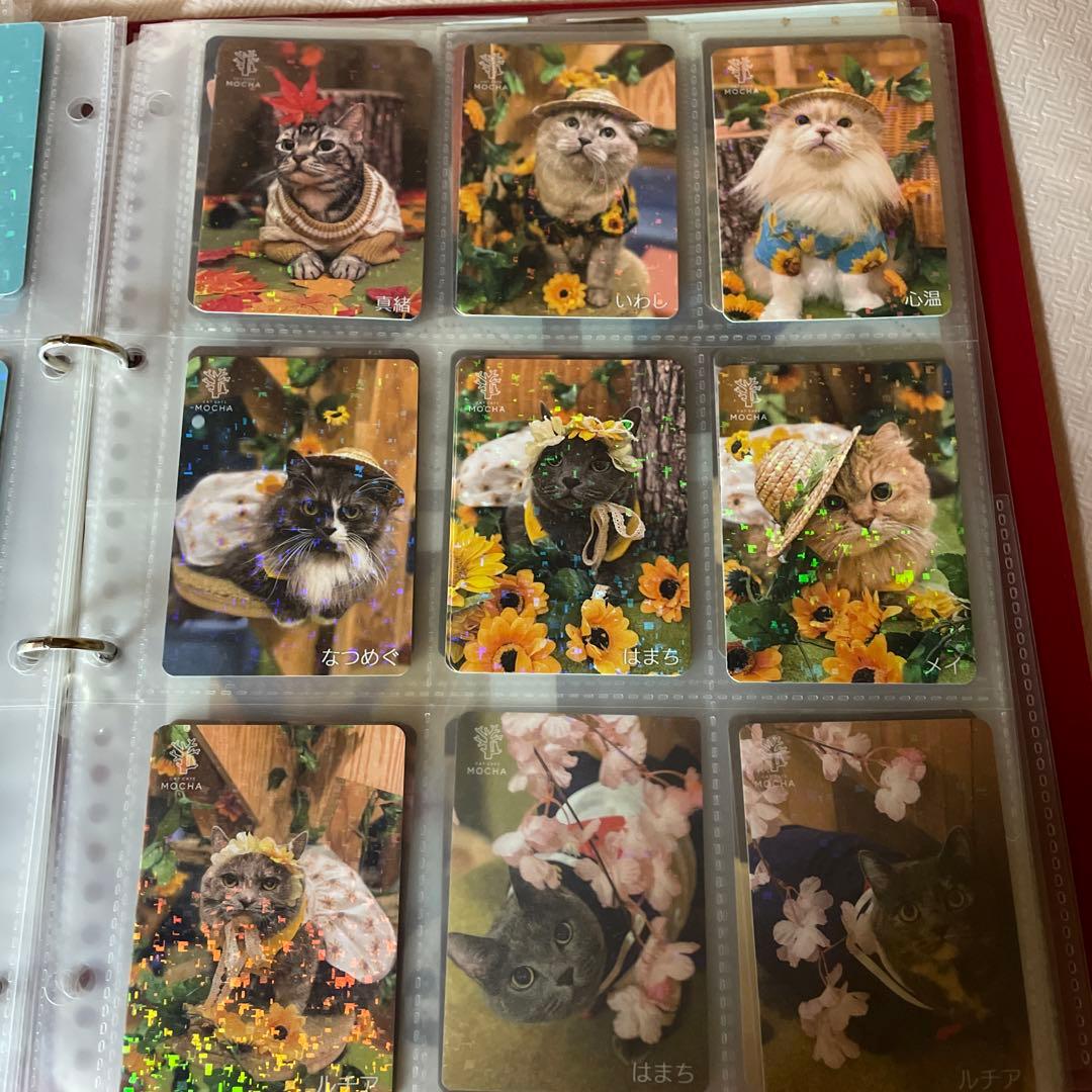 【バラ売り可】猫カフェmocha　トレカ　秋葉原店　2025秋　過去トレカあり