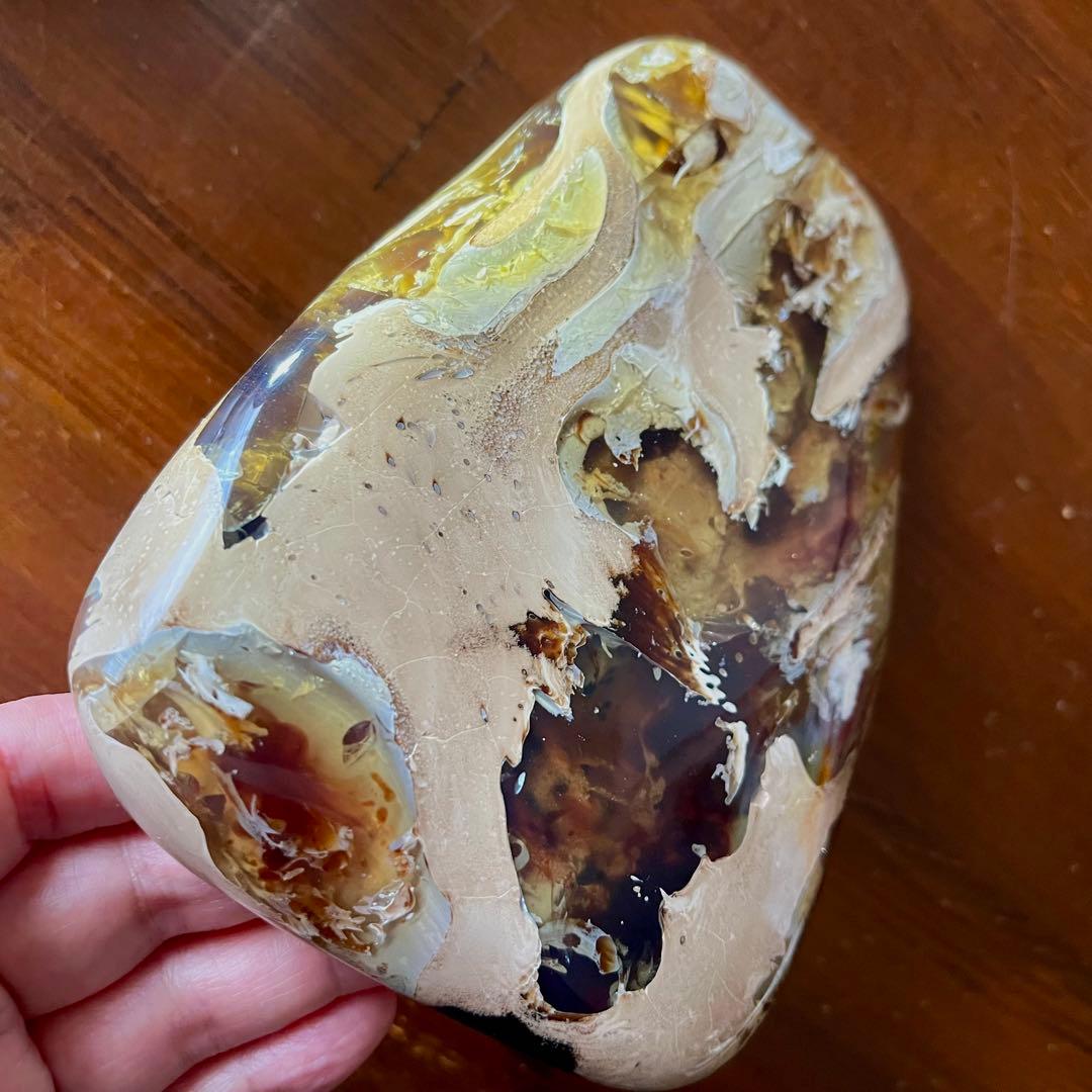 鑑別付 琥珀 原石 標本 巨大 タイガー アンバー レア 希少 鑑賞石