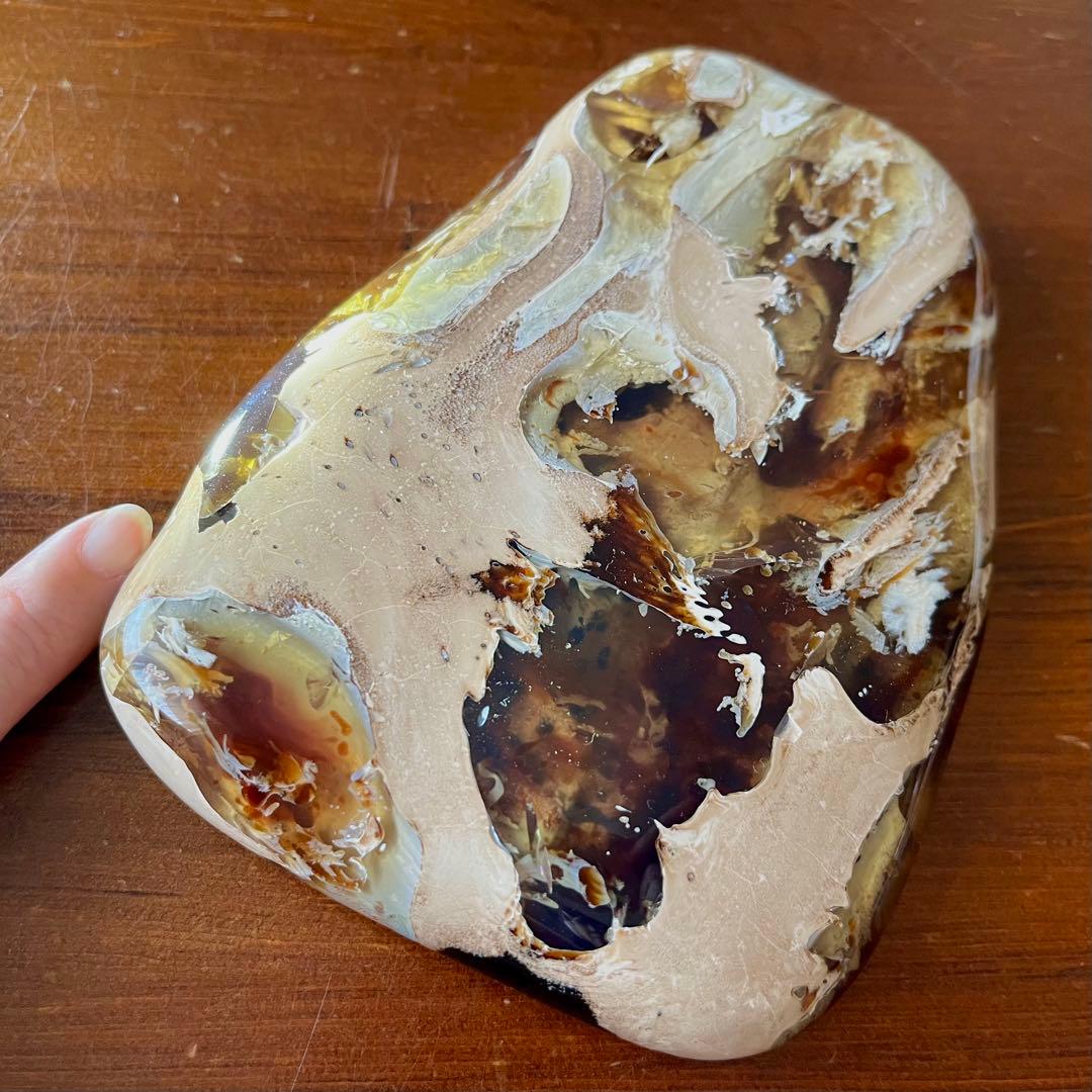 鑑別付 琥珀 原石 標本 巨大 タイガー アンバー レア 希少 鑑賞石