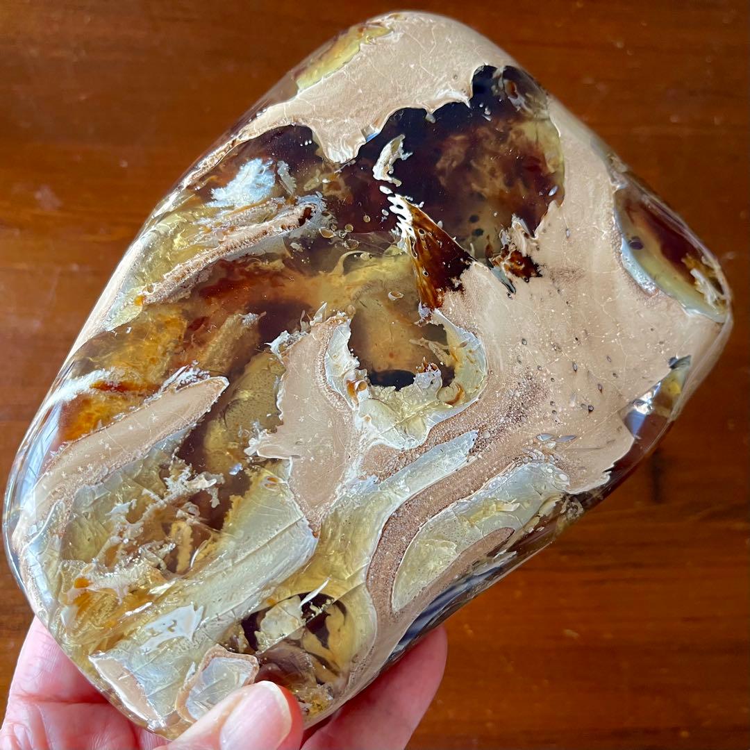 鑑別付 琥珀 原石 標本 巨大 タイガー アンバー レア 希少 鑑賞石