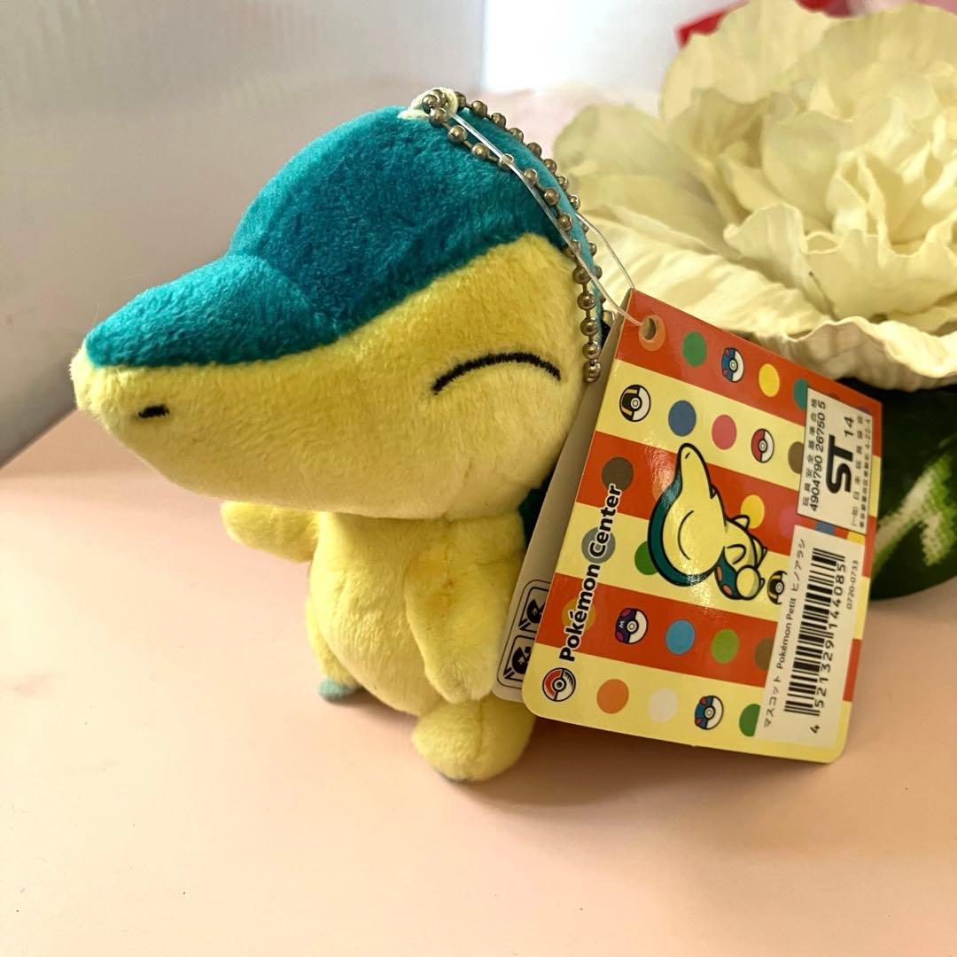 2013 ヒノアラシ ポケモンセンター ぬいぐるみ pokemon petit