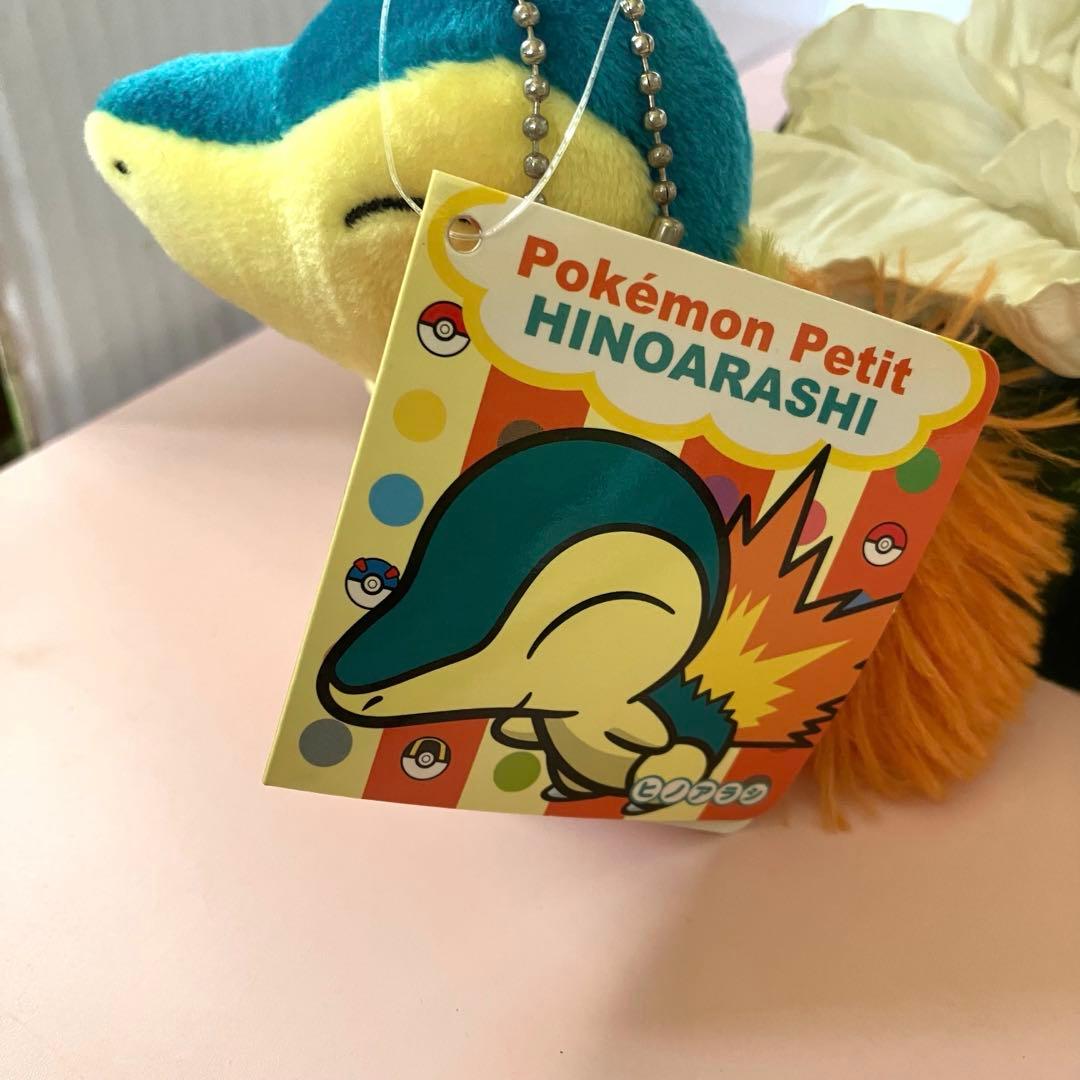 2013 ヒノアラシ ポケモンセンター ぬいぐるみ pokemon petit