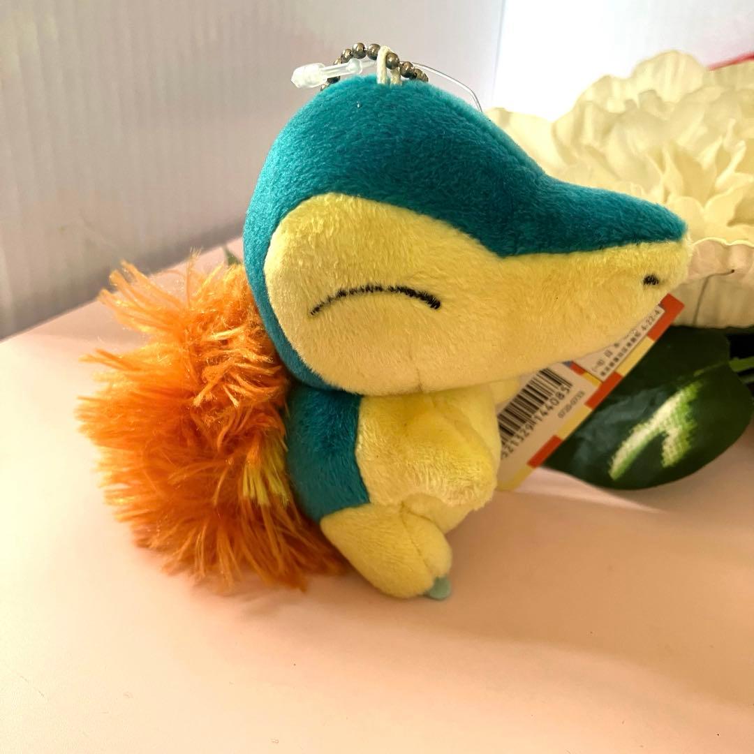 2013 ヒノアラシ ポケモンセンター ぬいぐるみ pokemon petit