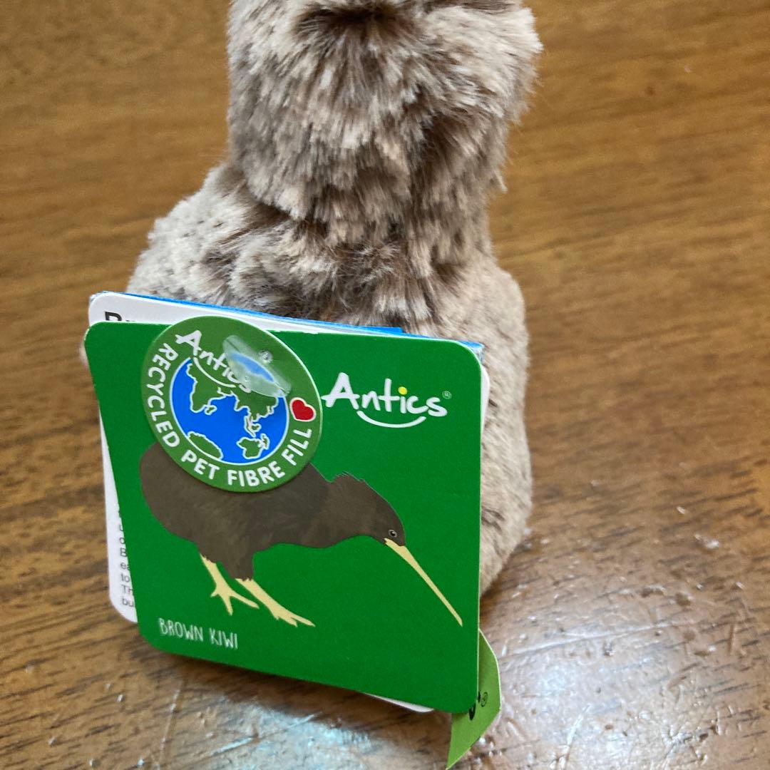 ブラウンキウイ　バード　ぬいぐるみ　新品未使用