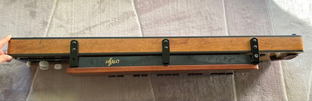 ライリッシュ 大正琴 LPS50 和楽器　専用ソフトケース付き