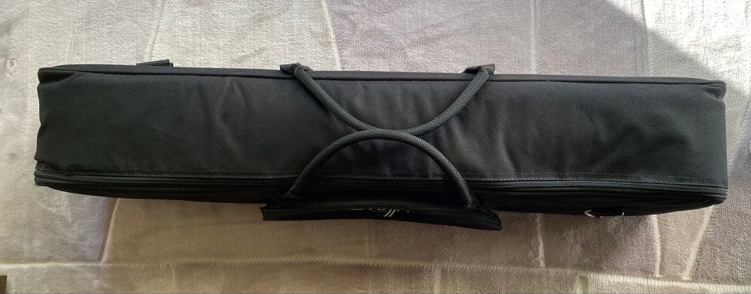 ライリッシュ 大正琴 LPS50 和楽器　専用ソフトケース付き