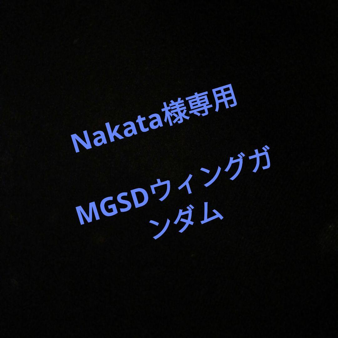 Nakata MGSDウィング