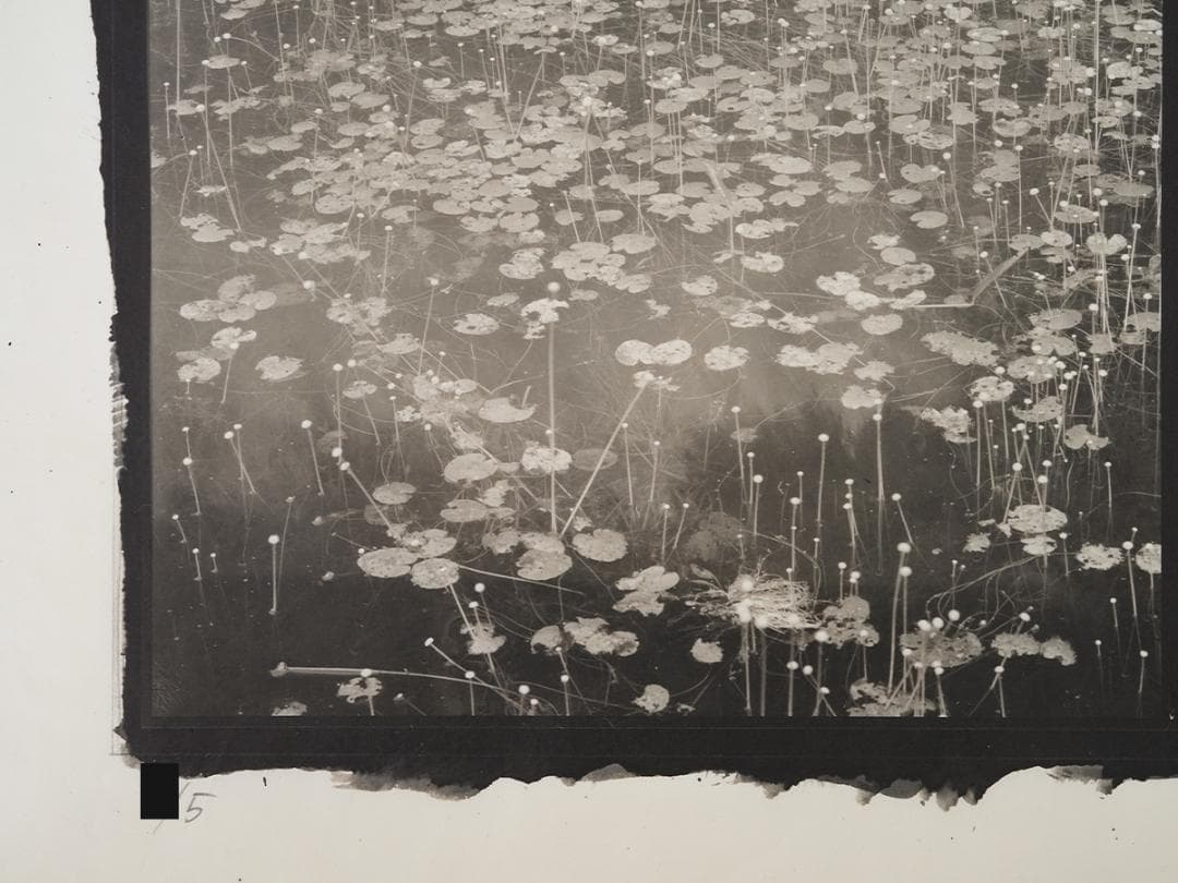 栗田紘一郎 Koichiro Kurita プラチナプリント写真 古典プリント