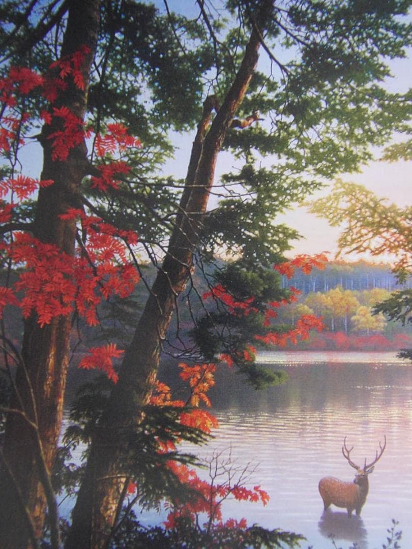 山地司、【鹿の住む森-3】、希少な額装用画集より、新品額装付、状態良好