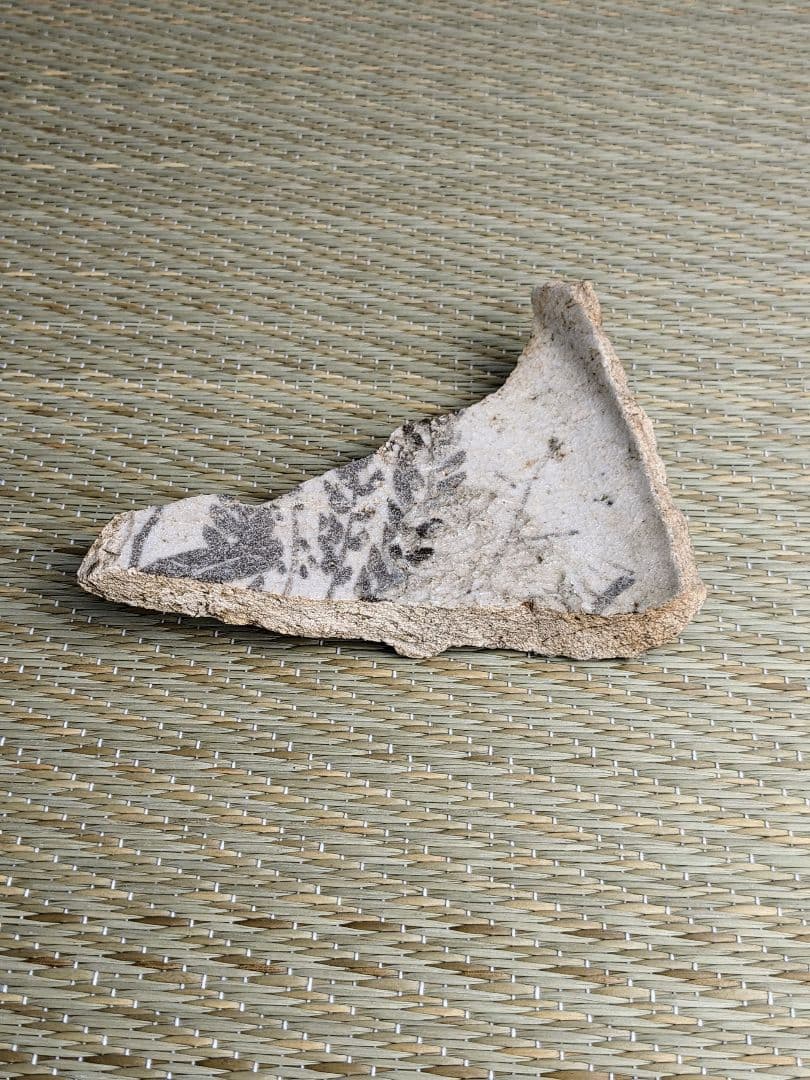 陶片　絵志野藤文鉢　桃山時代　　志野陶片　志野鉢　絵志野　桃山陶　金継ぎ