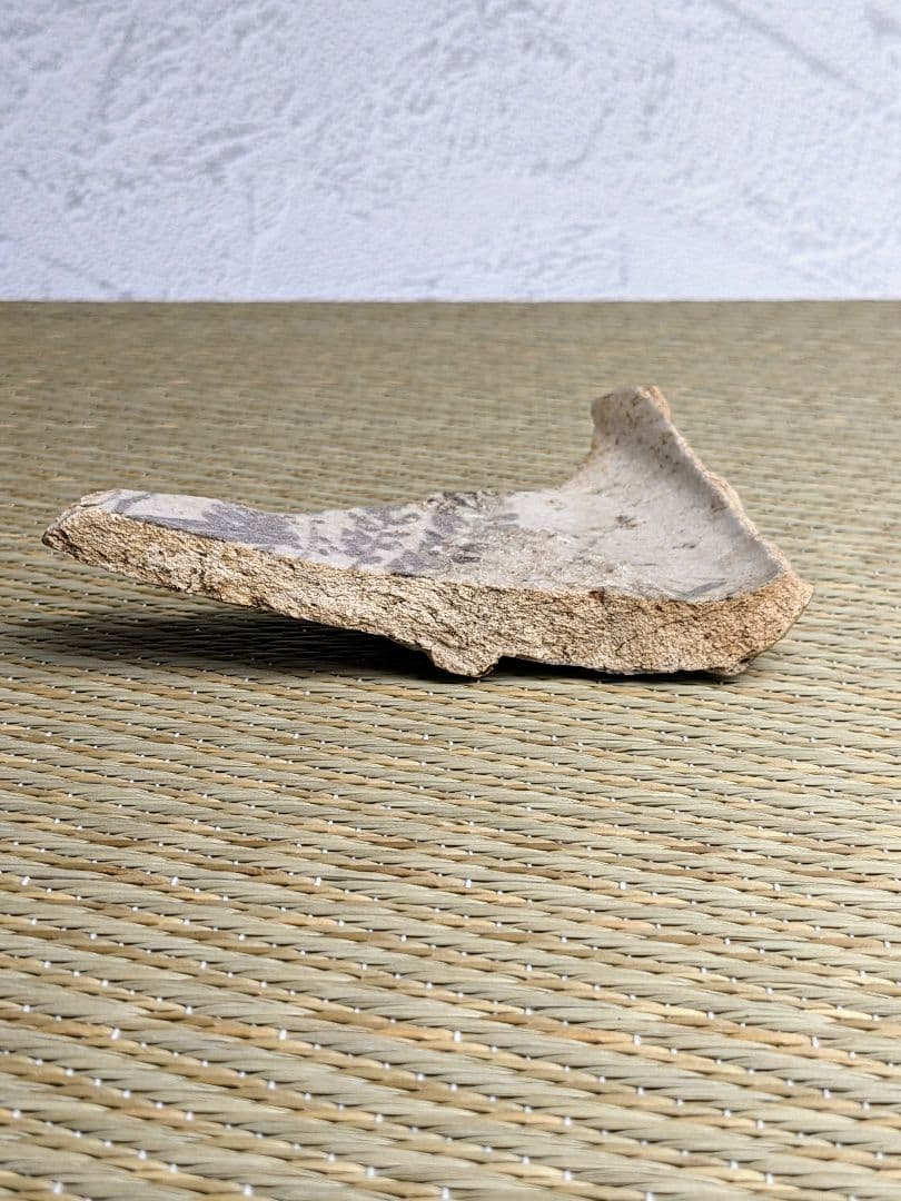 陶片　絵志野藤文鉢　桃山時代　　志野陶片　志野鉢　絵志野　桃山陶　金継ぎ