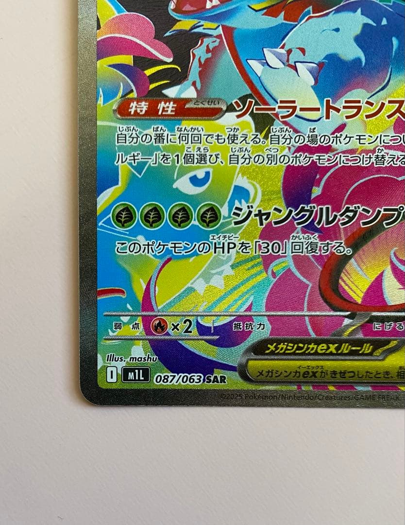 フシギバナ EX セット5枚