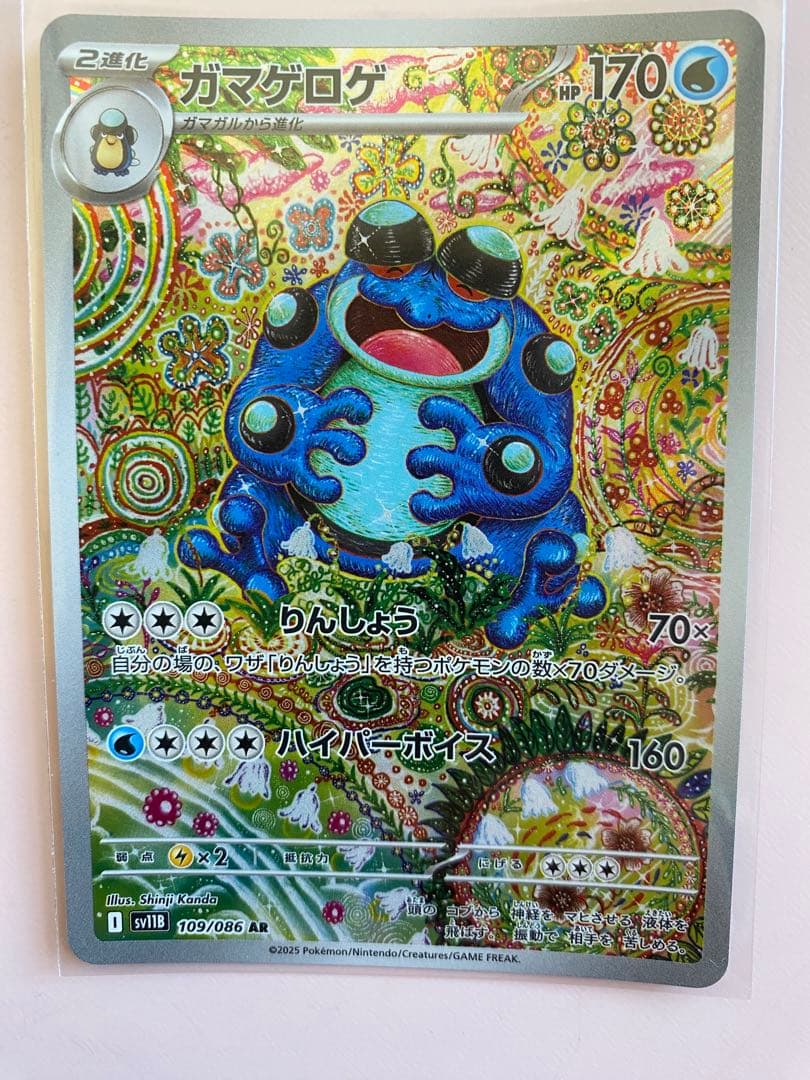 フシギバナ EX セット5枚