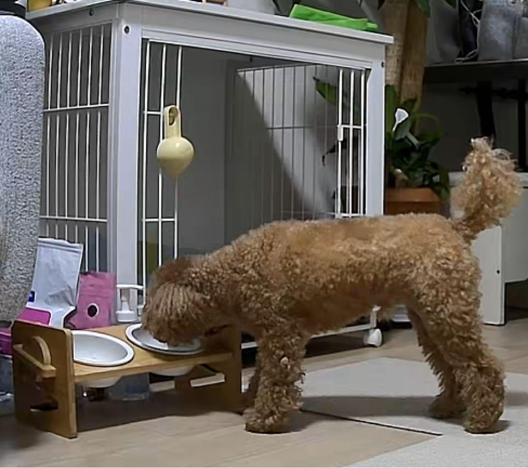 中古犬用ケージ ホワイト 78x56x70cm