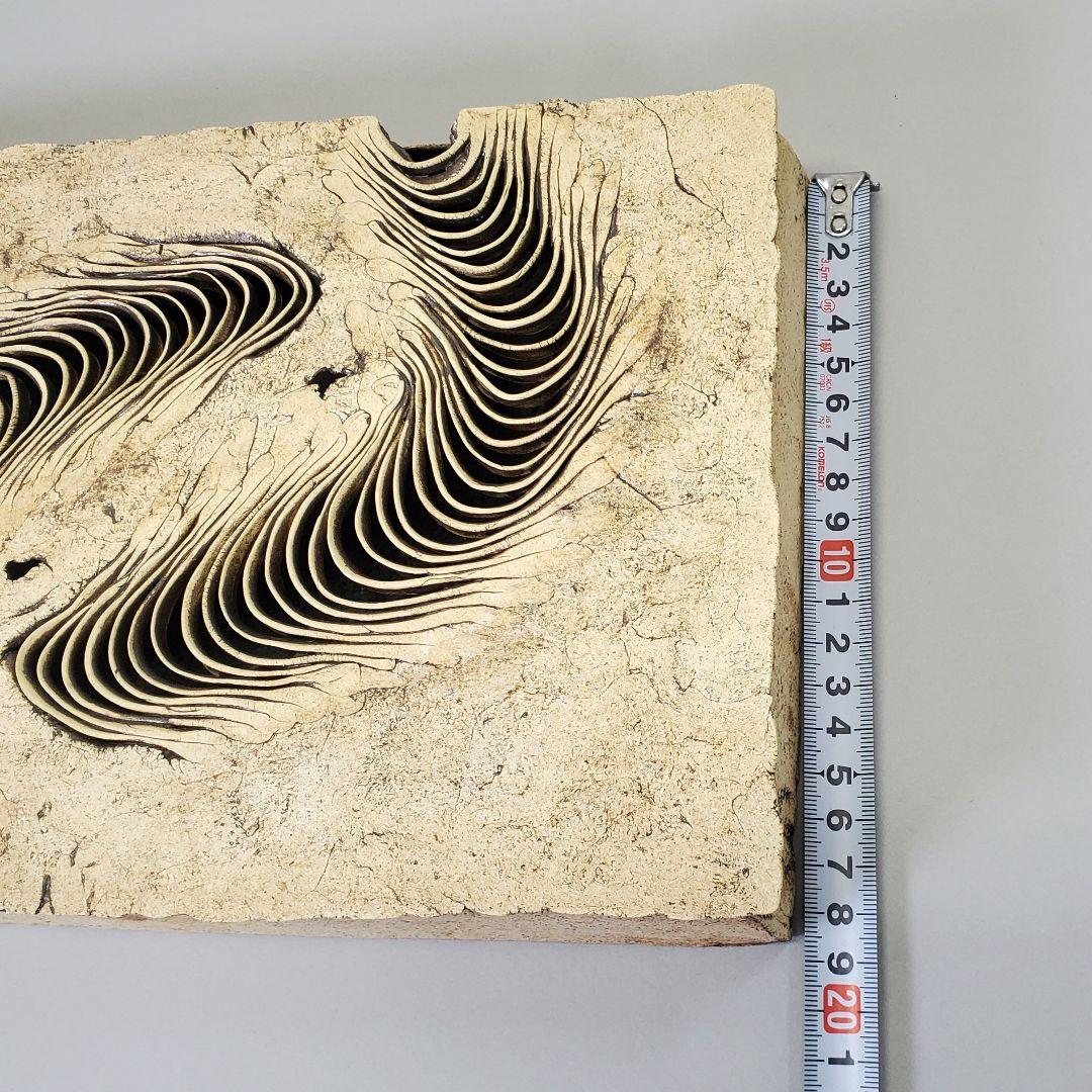 泉田之也　積層フタモノ