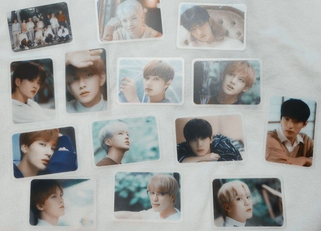 セブチ　ホシ　バラ売り可(おまけ付き)