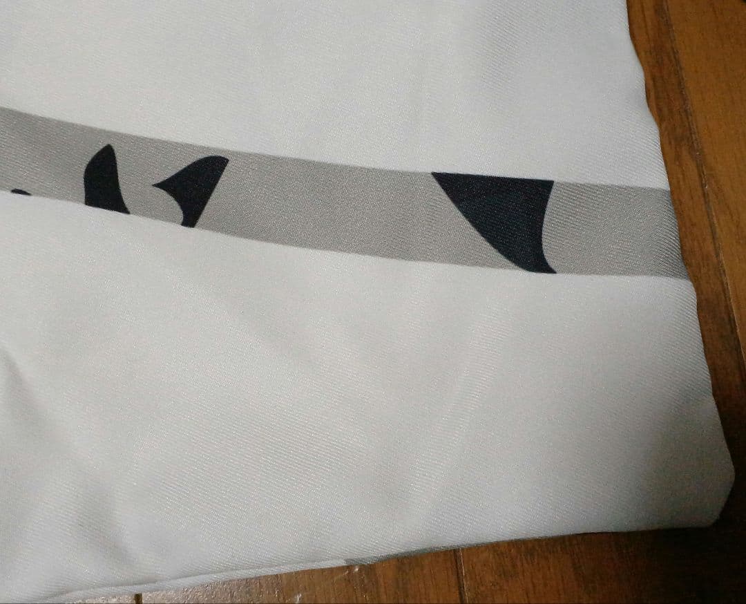 RIZE 限定バッグ・Tシャツ・アイテムセット