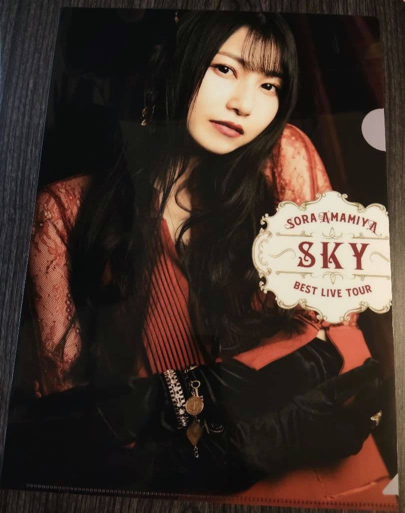 雨宮天 クリアファイル23枚セット