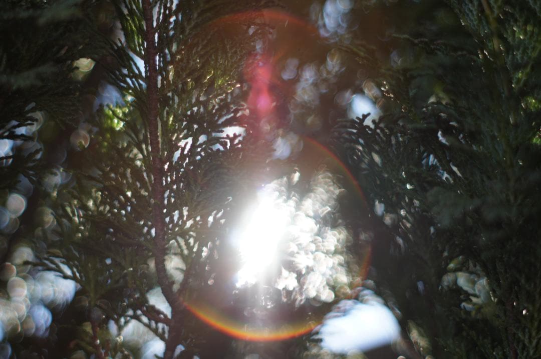 作例有・極美フレア✨ PENTAX スーパータクマー 55mm f1.8 後期