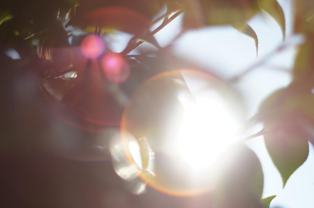 作例有・極美フレア✨ PENTAX スーパータクマー 55mm f1.8 後期