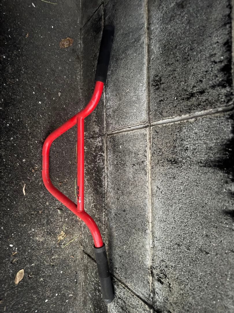 自転車本体 2019 CORRIERE FC FITBIKE