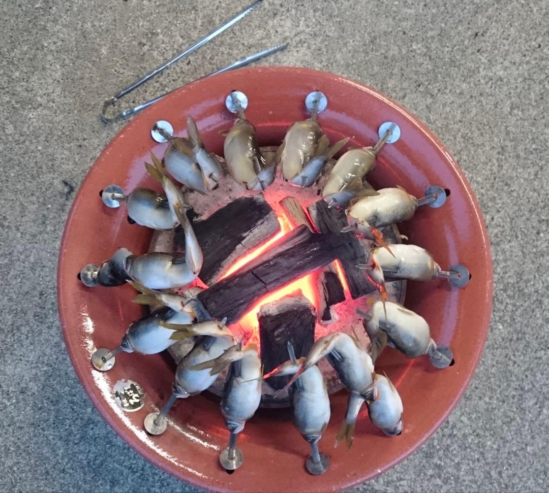 キンカ串焼ろばた 大 φ420×145