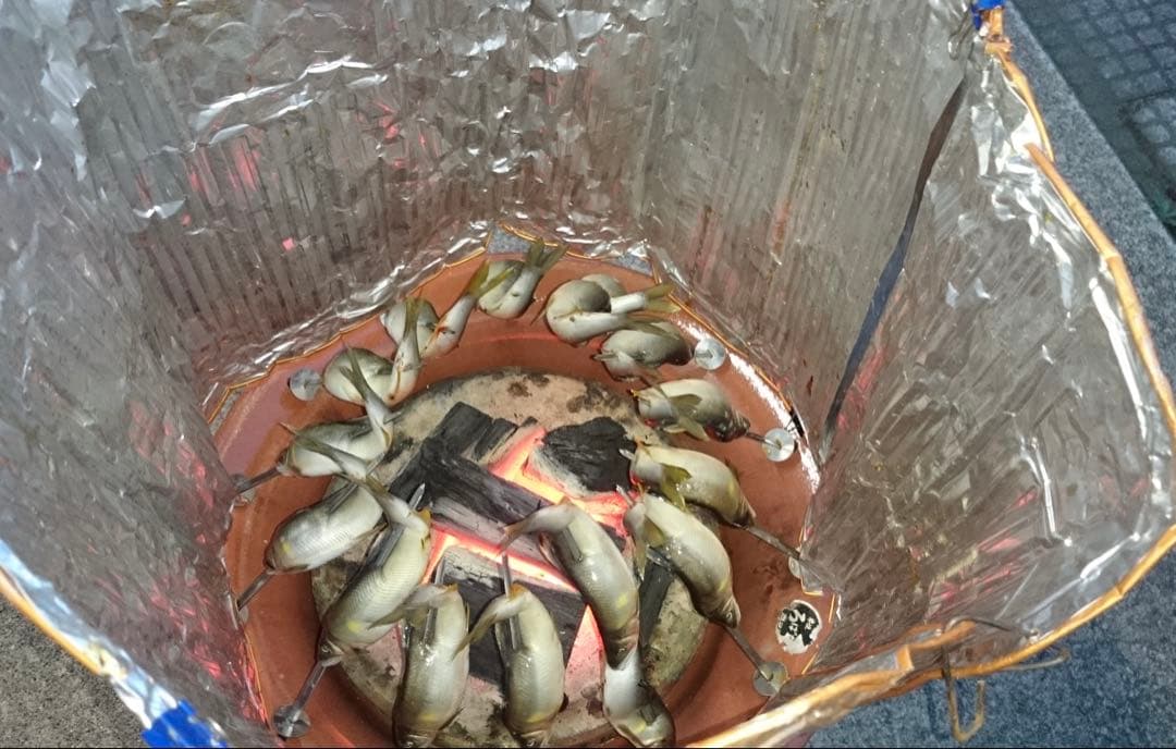 キンカ串焼ろばた 大 φ420×145