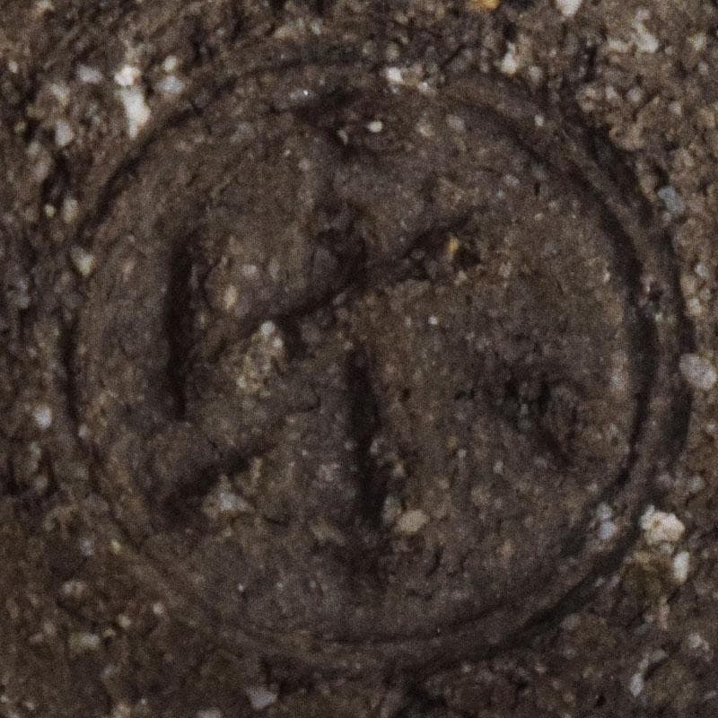 茶道具　黒楽茶碗　時代箱　V　R8499