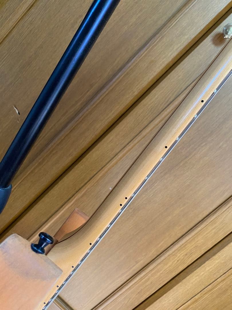 schecter banshee 7a リペイント