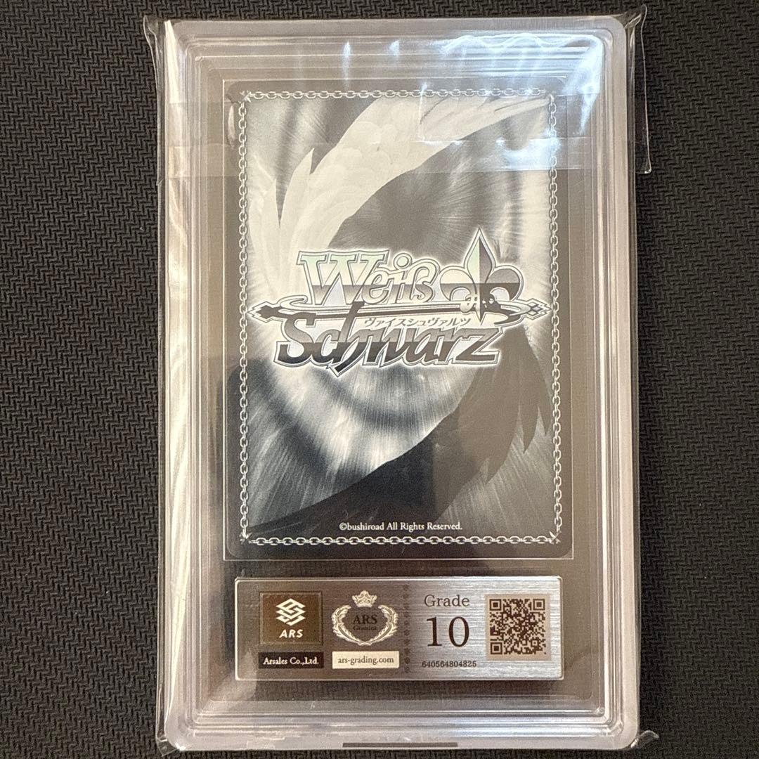 ARS10 Stary Nocturne アドマイヤベガ　SP サイン