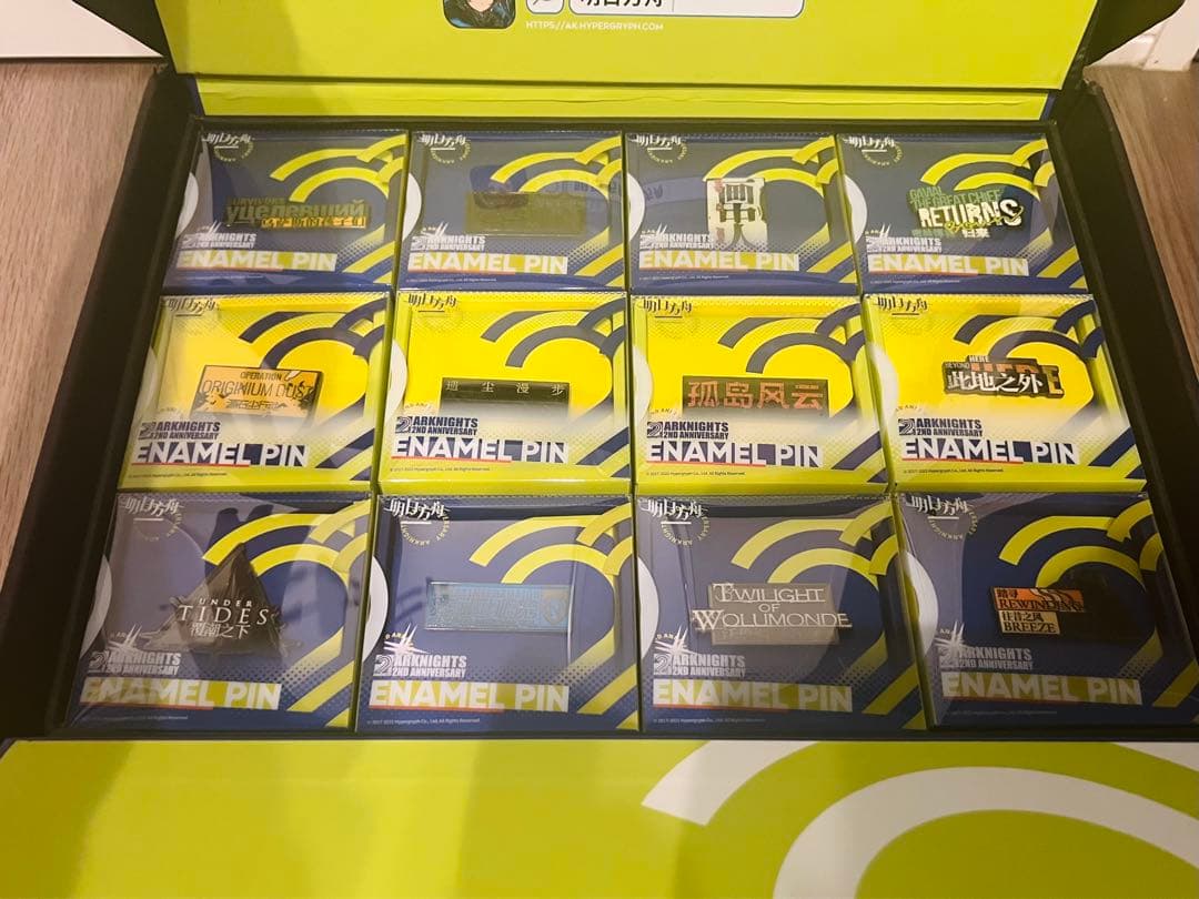 アークナイツ　中国2周年　ピンバッジセット